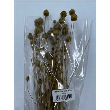 Dried - Strawberry Thistle Natural