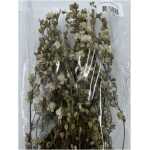 Dried Delphinium White