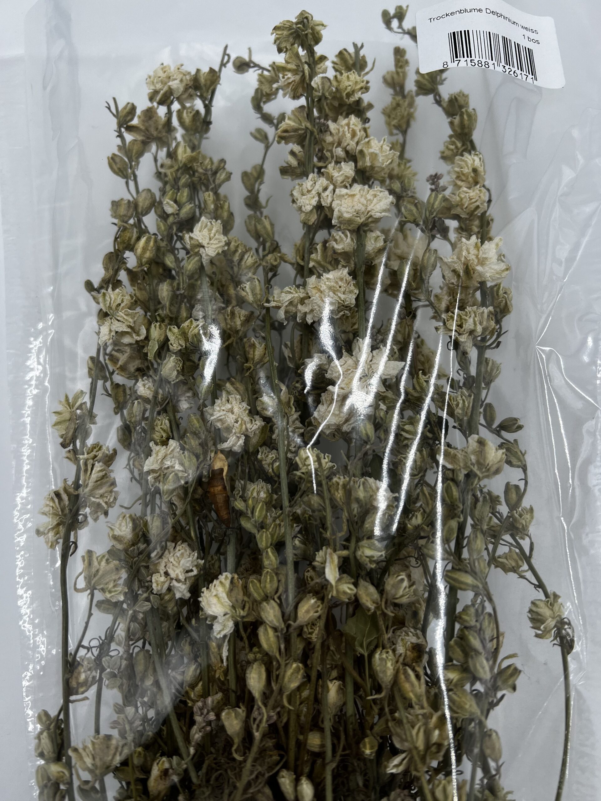 Dried Delphinium White, The Baggery Sundries UK Ltd Dried Delphinium White