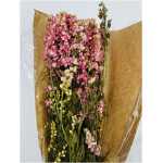 Dried Delphinium Pink