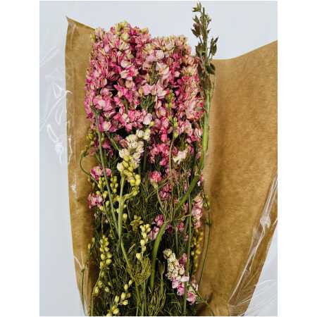 Dried Delphinium Pink