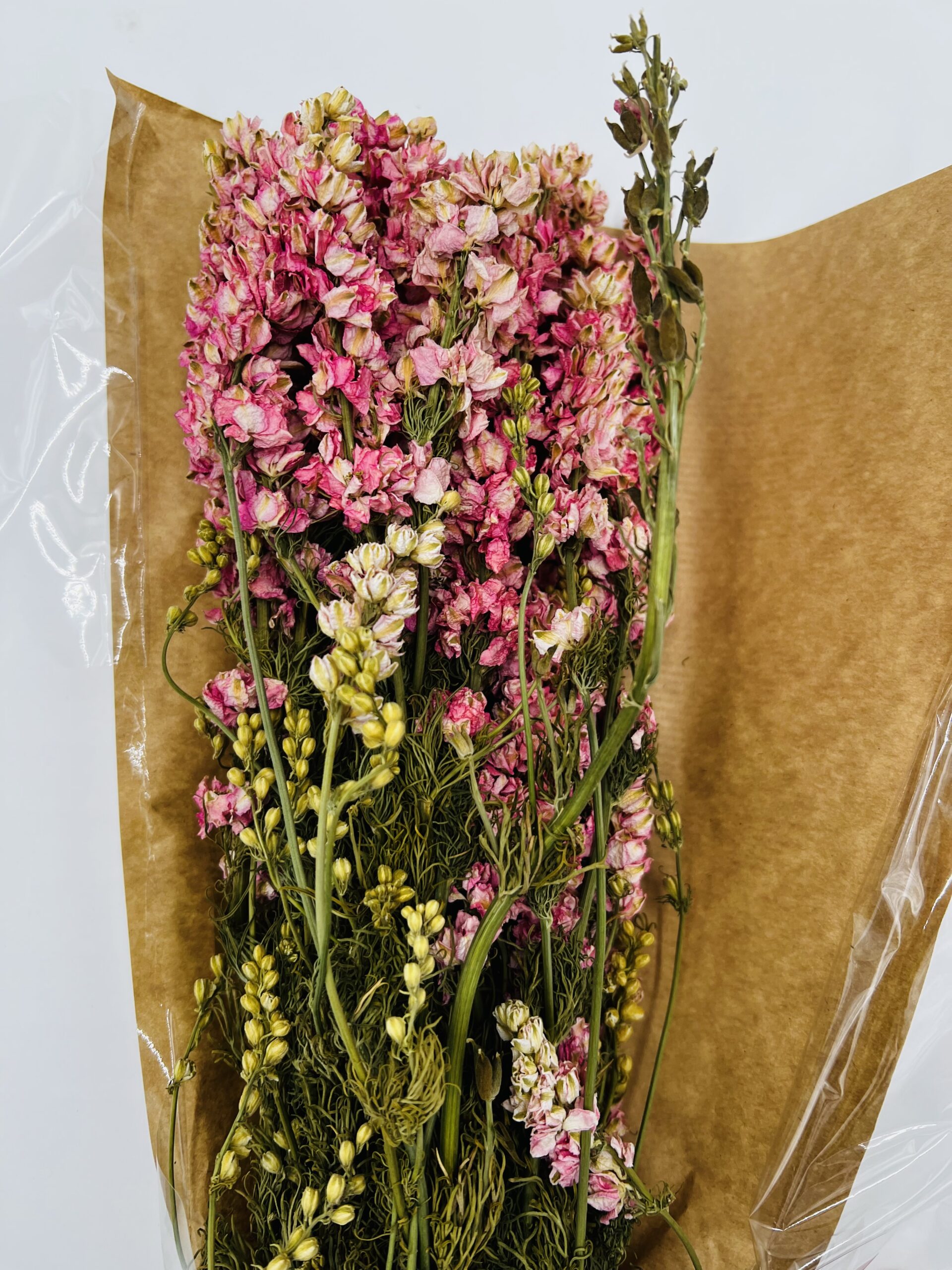 Dried Delphinium Pink, The Baggery Sundries UK Ltd Dried Delphinium Pink