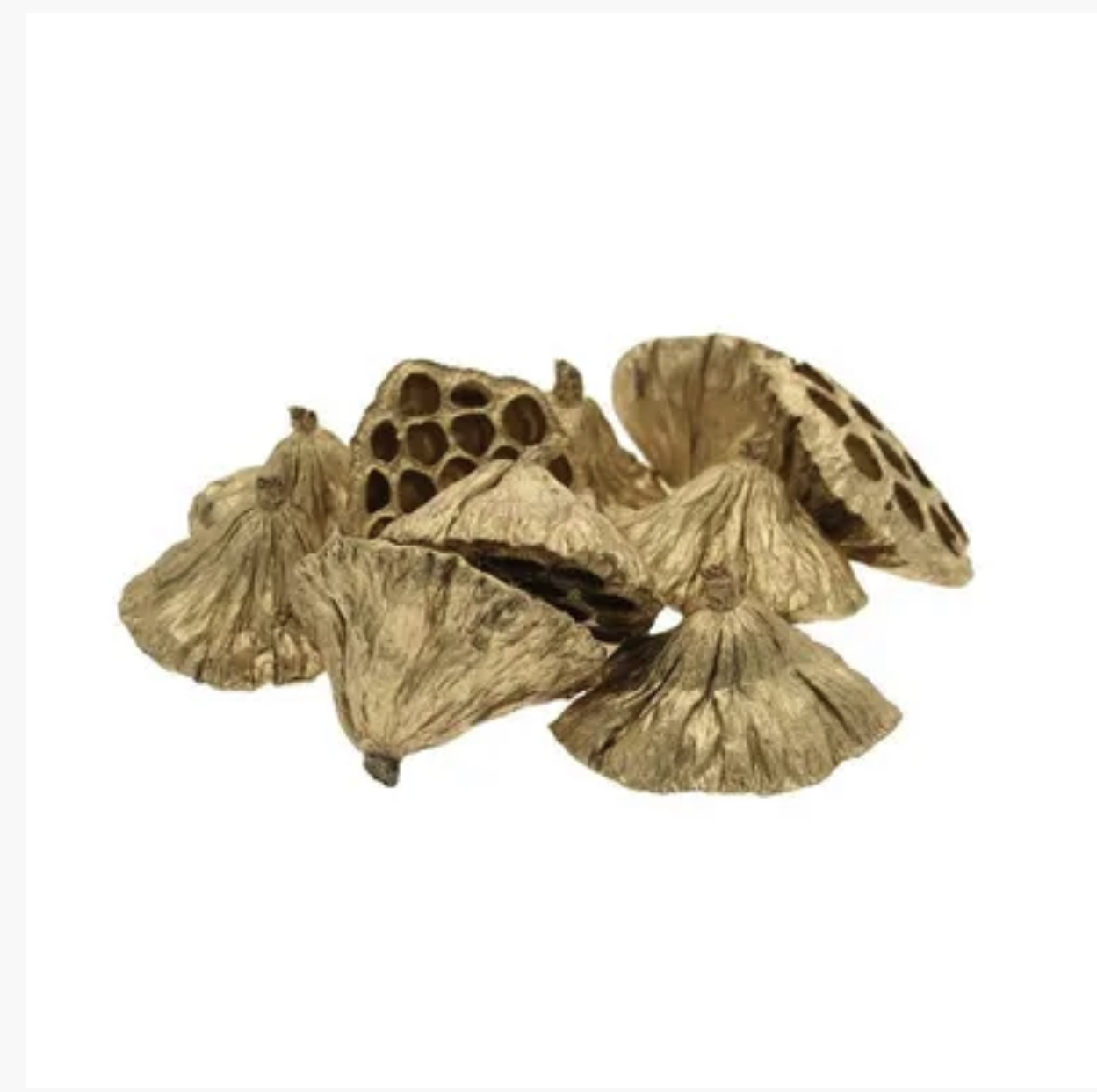 Christmas Gold Lotus Head, The Baggery Sundries UK Ltd Christmas Gold Lotus Head