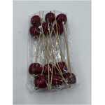 Christmas Apple Stick - Red