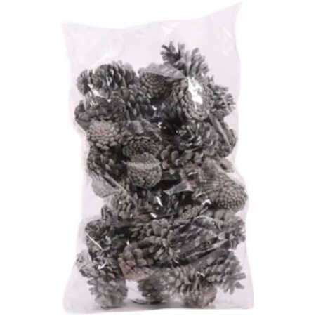 Christmas Frosted Pine Cones