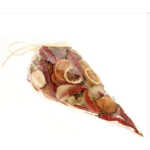 Mixed Cone Dried Fruit & Chillies