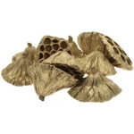 Christmas Gold Lotus Head