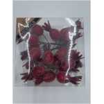 Christmas Red Frosted Rose Hip Picks