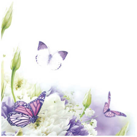 Small Plain Card - Butterflies