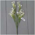 Gypsophelia White