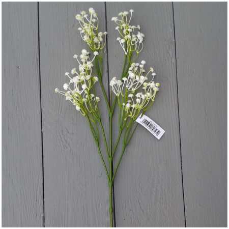 Gypsophelia White