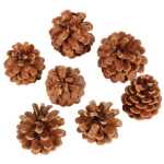 A Bag Of 1KG Pine Cones - Austriaca