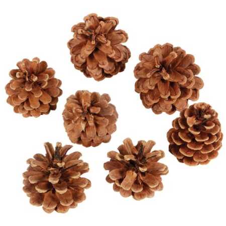 A Bag Of 1KG Pine Cones - Austriaca