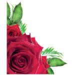 Small Plain Card