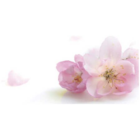 Small Plain Card