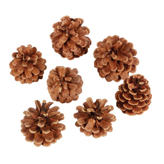 A Bag Of 1KG Pine Cones - Austriaca, The Baggery Sundries UK Ltd A Bag Of 1KG Pine Cones - Austriaca