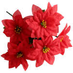 Poinsettia Bush