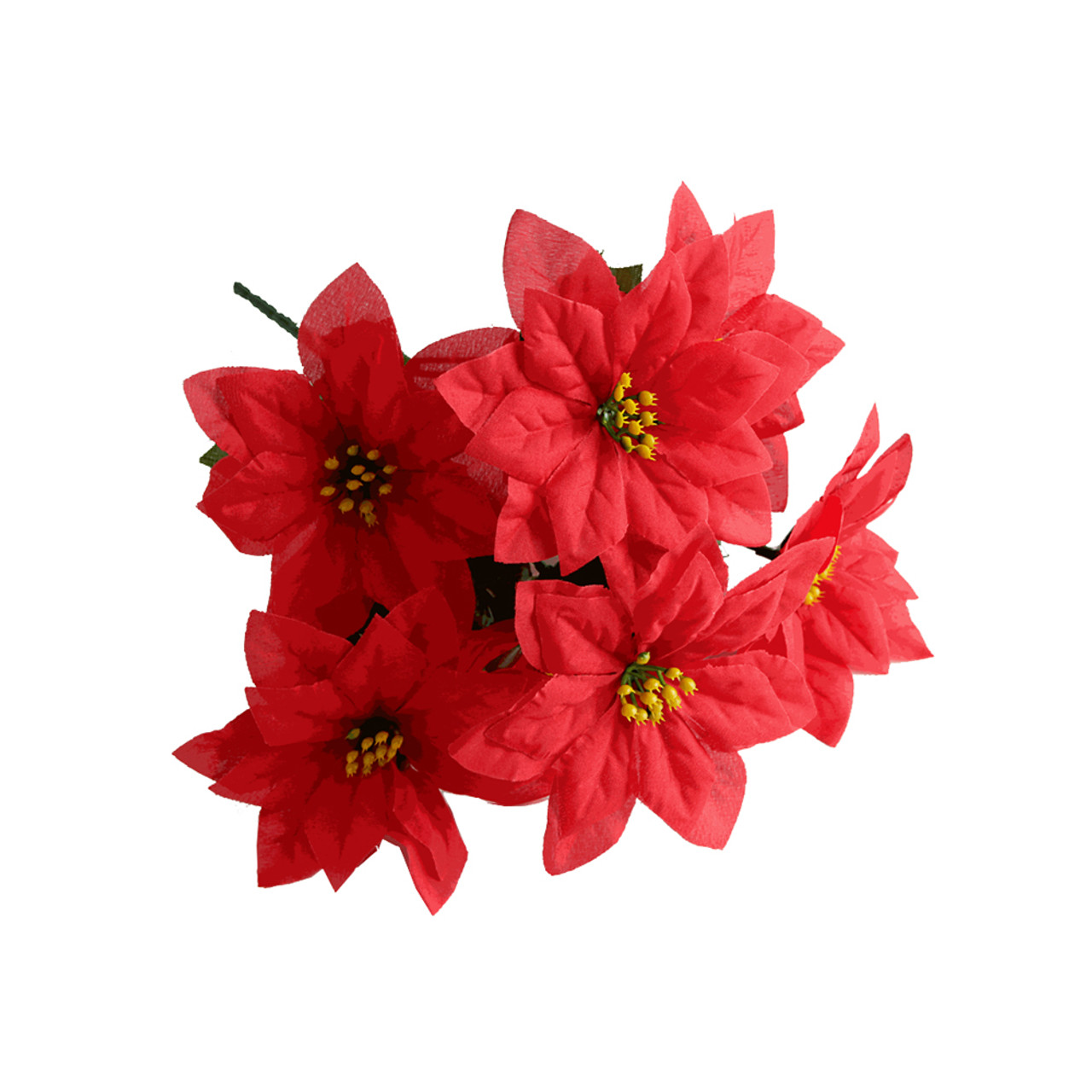 Poinsettia Bush, The Baggery Sundries UK Ltd Poinsettia Bush