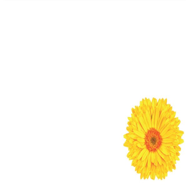 Small Plain Card