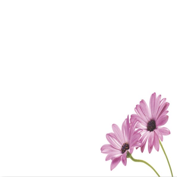 Small Plain Card, The Baggery Sundries UK Ltd Small Plain Card