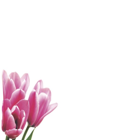 Small Plain Card, The Baggery Sundries UK Ltd Small Plain Card