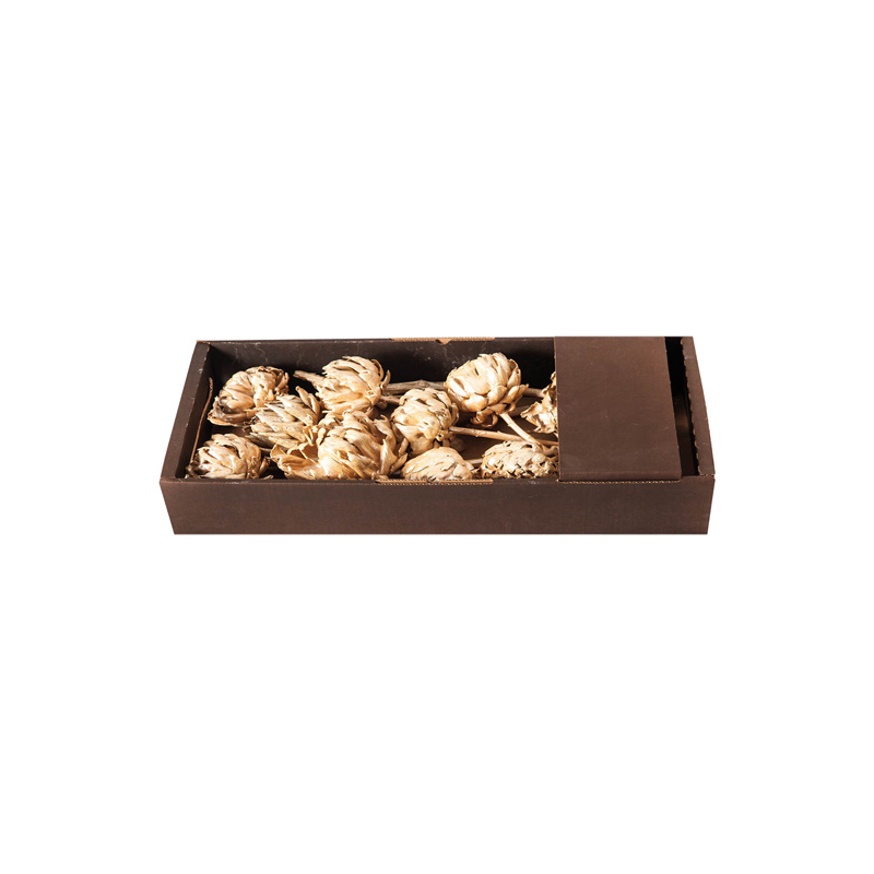 Gold Dried Artichoke, The Baggery Sundries UK Ltd Gold Dried Artichoke