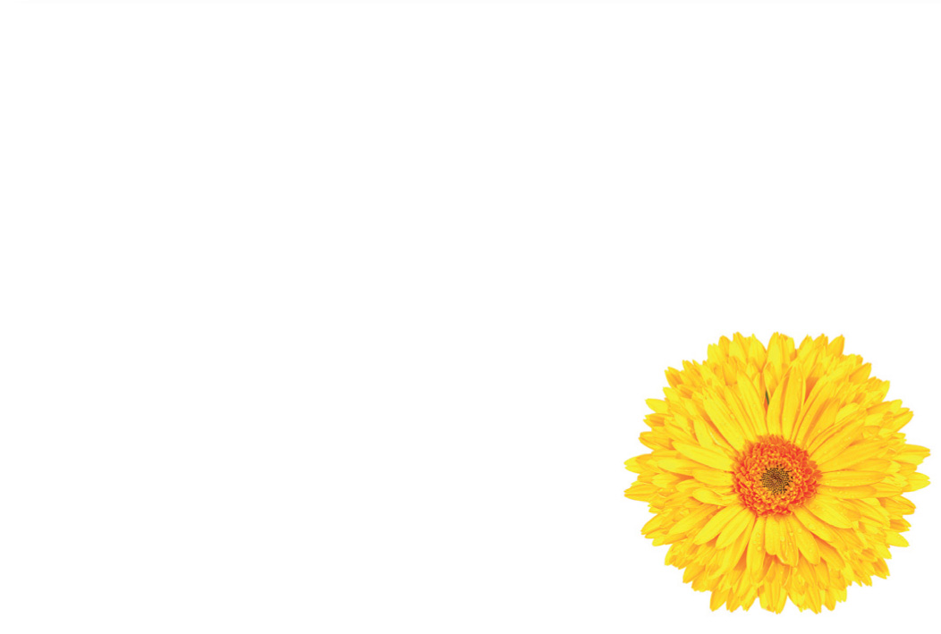 Small Plain Card, The Baggery Sundries UK Ltd Small Plain Card