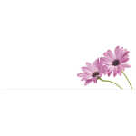 Small Plain Card