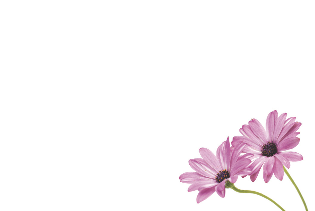 Small Plain Card, The Baggery Sundries UK Ltd Small Plain Card