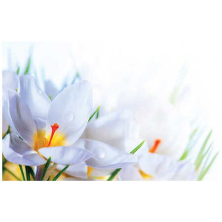 Small Plain Card