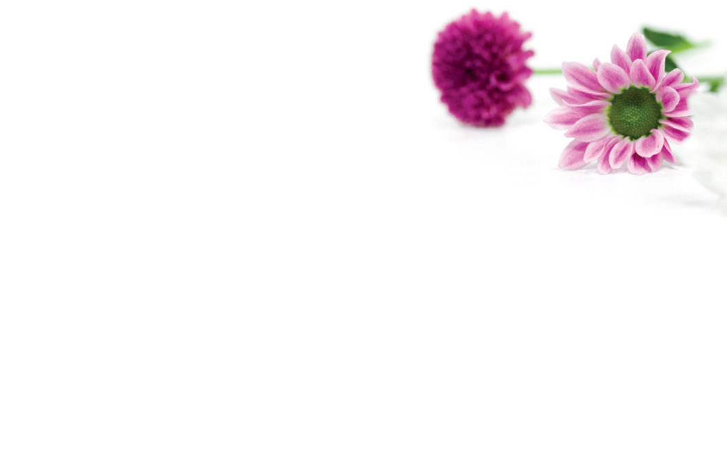 Small Plain Card, The Baggery Sundries UK Ltd Small Plain Card