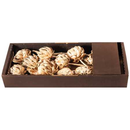 Gold Dried Artichoke