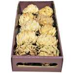 Natural Dried Artichoke
