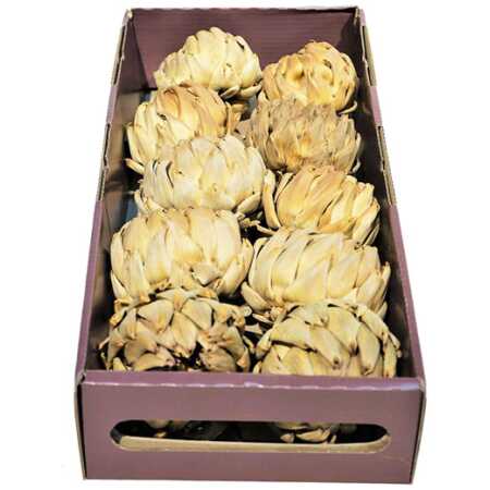 Natural Dried Artichoke