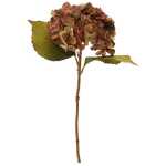 46cm  Hydrangea Single