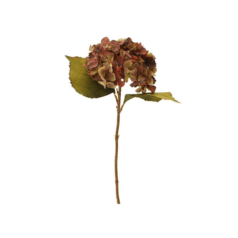 46cm Dried Image Hydrangea Single, The Baggery Sundries UK Ltd 46cm Dried Image Hydrangea Single