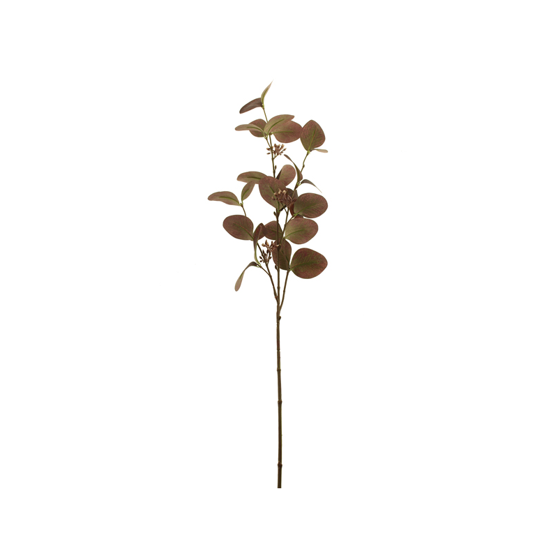 75cm Seeding Eucalyptus, The Baggery Sundries UK Ltd 75cm Seeding Eucalyptus