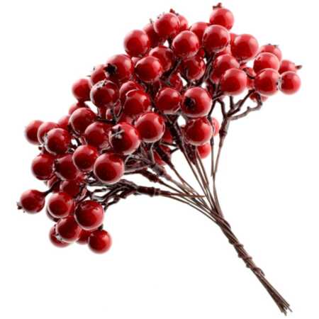 Picks & Berries