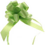 Poly Ribbon Pull Bow - Lime Green