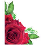 Valentines Card