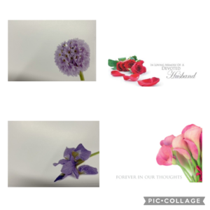 Floristry & Retailer Products