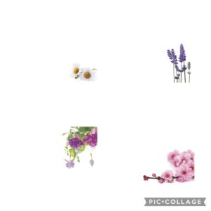 Floristry & Retailer Products