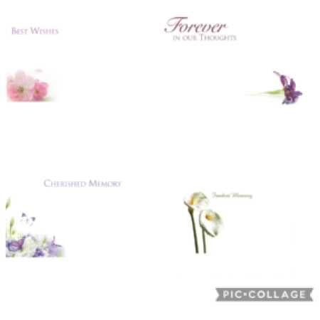 Cards - Small (with wording)