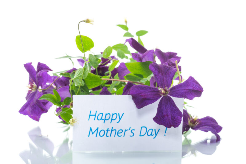 Florist Supplies for Mother’s Day 2023