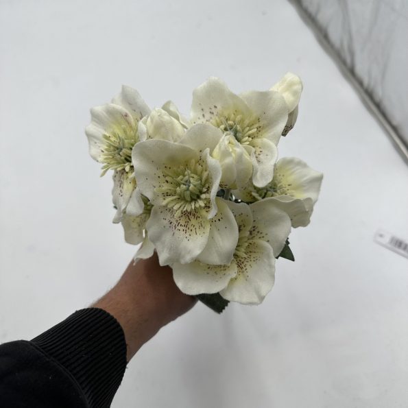 Christmas - Cream Frosted 34cm Helebores X 3 Hand Tied, The Baggery Sundries UK Ltd Christmas - Cream Frosted 34cm Helebores X 3 Hand Tied
