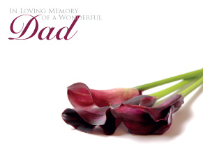 Large - in loving memory of dear dad, The Baggery Sundries UK Ltd Large - in loving memory of dear dad