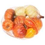 4-6cm Pumpkins x 10 in Net Bag