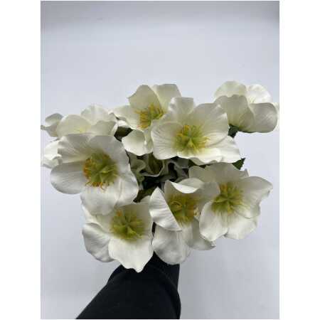 Christmas - 41cm Helebores