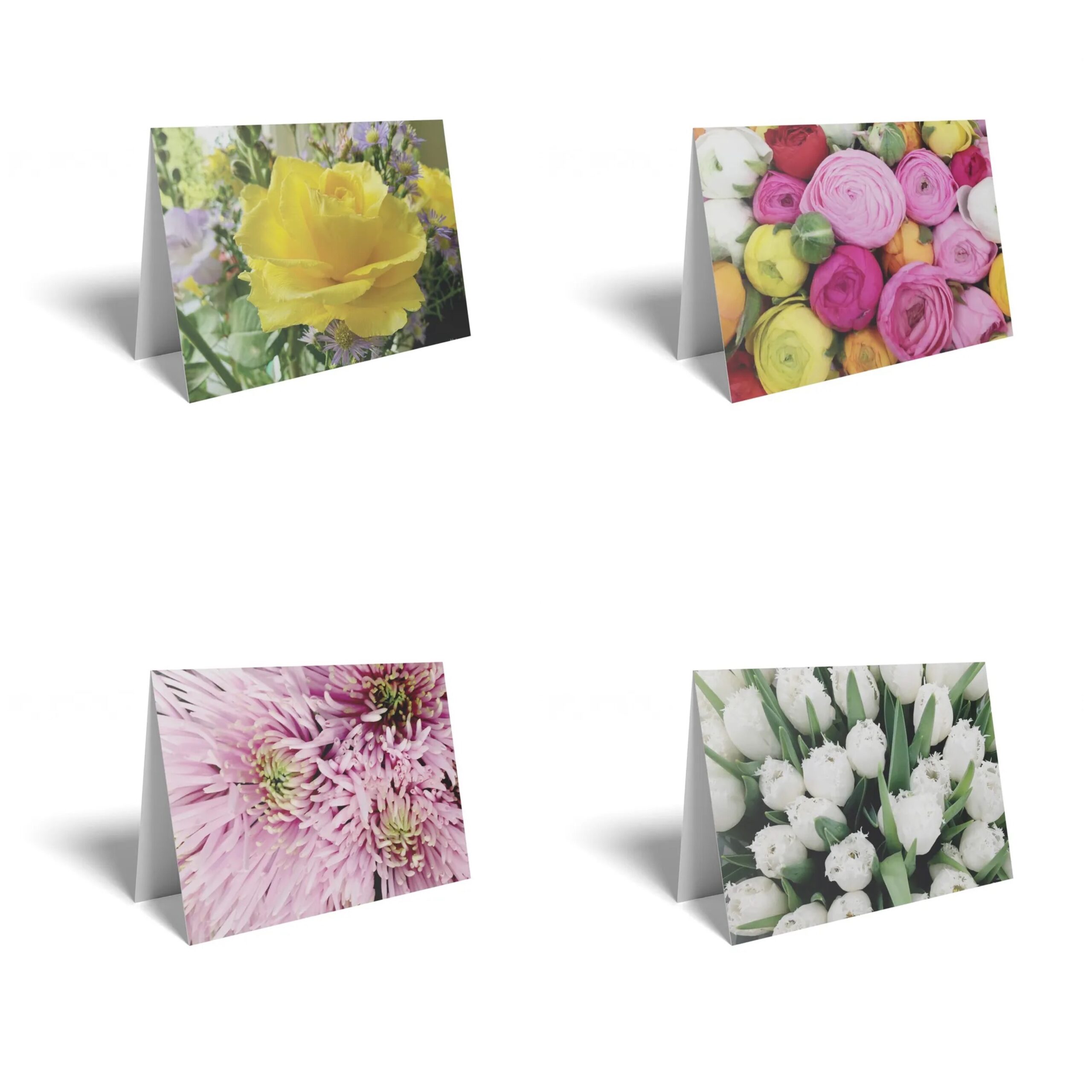 Floristry & Retailer Products