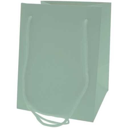 Hand Tie Bag 19 x 25cm- Pearlised Willow Green